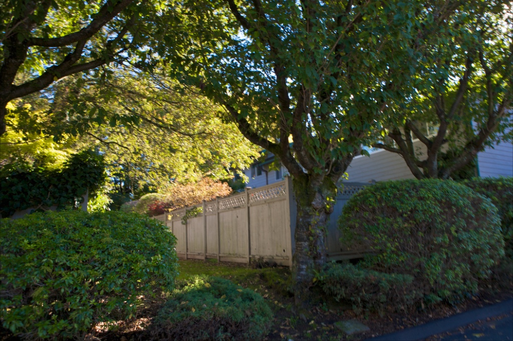 Scottcrest Image 10